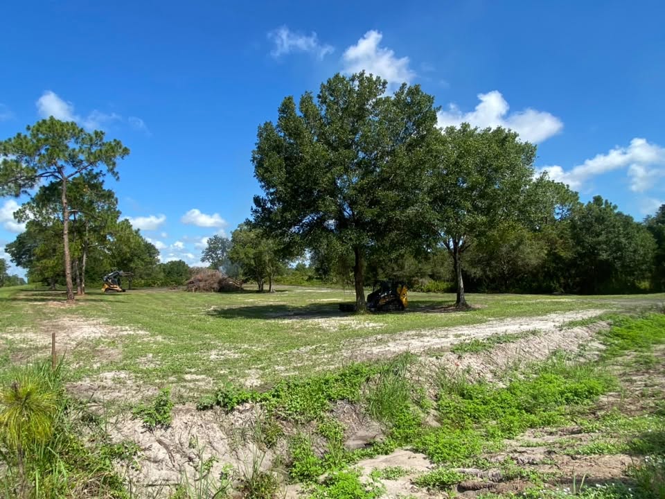 Cleared Property