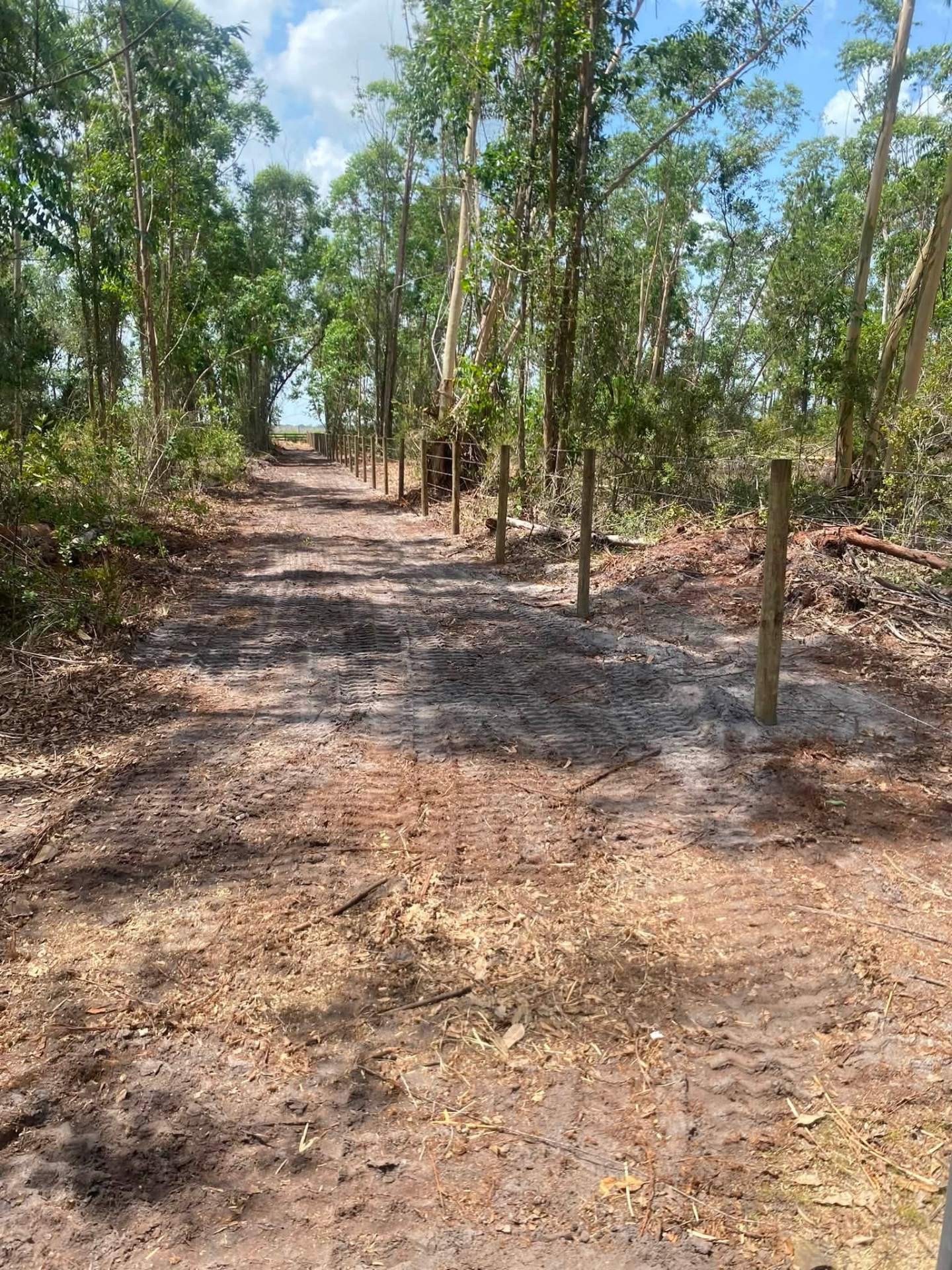 Fence Line Clearing