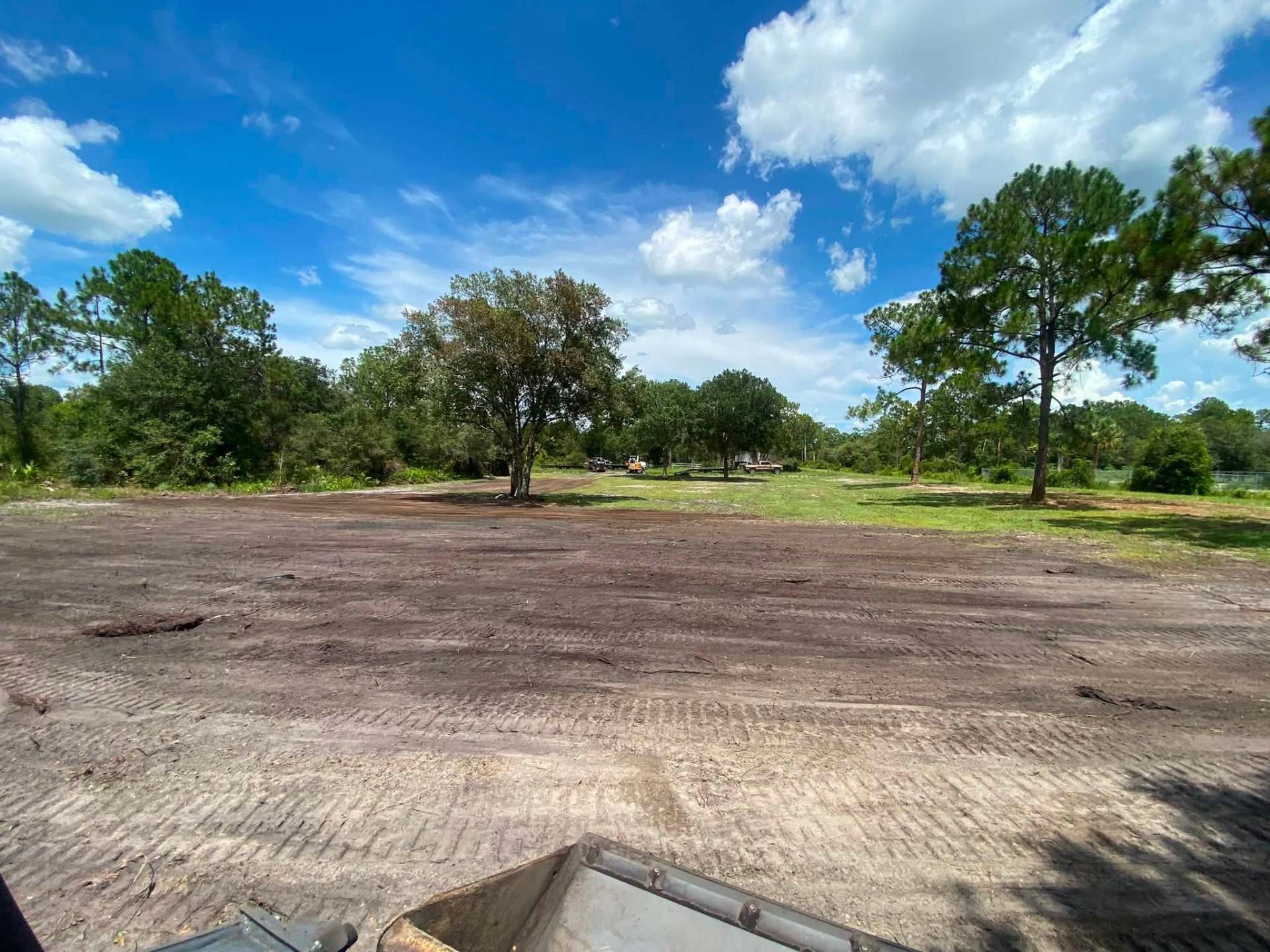 Lot Clearing